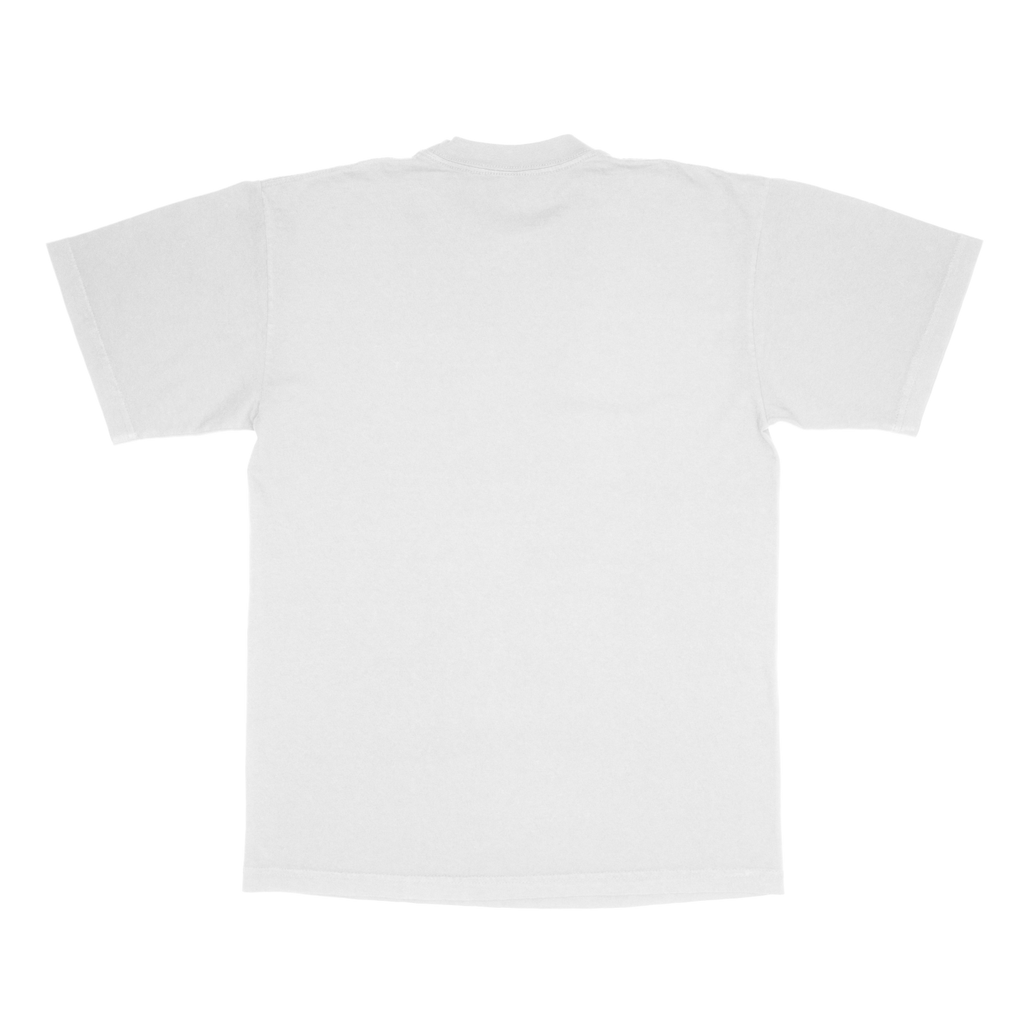 DTG SHIRT WHITE - Your artwork!